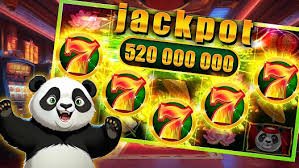 bigwin bet
