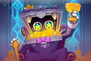 bigwin bet